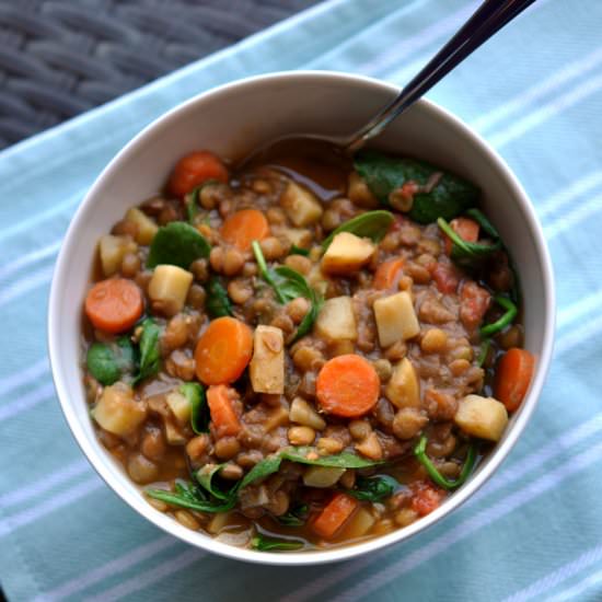 Vegan Lentil Soup with Veggies