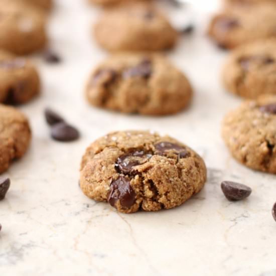 Paleo Chocolate Chip Cookies