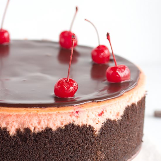 Cherry Chocolate Chip Cheesecake