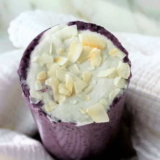 Wild Blueberry Coconut Smoothie