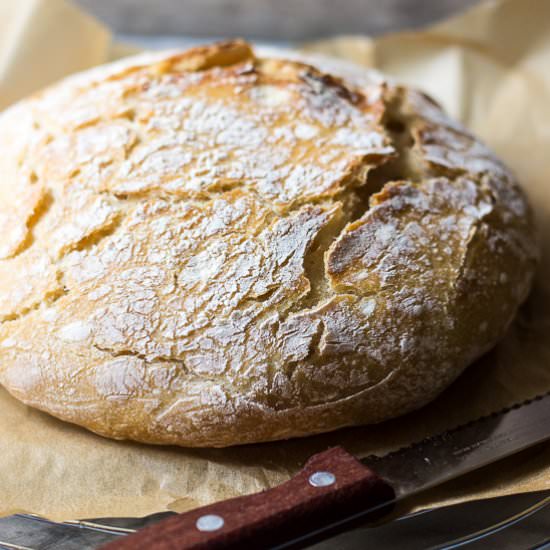 Rustic No-Knead Bread