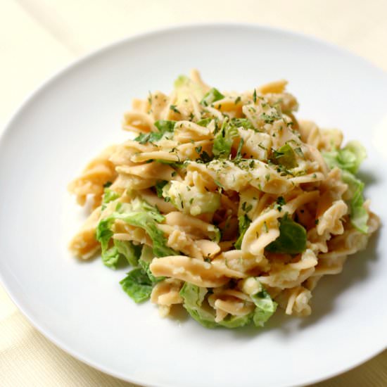 Rotini Pasta Alfredo With Brussels