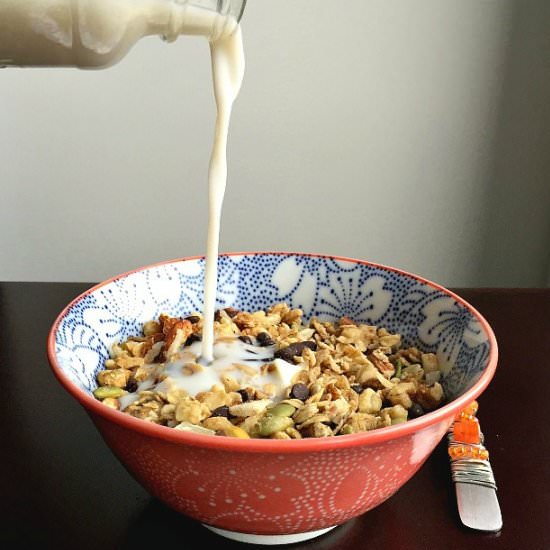 Sweet and Salty Trail Mix Granola
