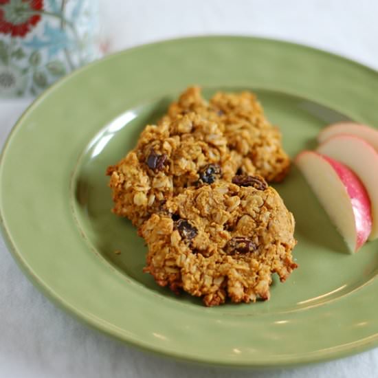Oatmeal Breakfast Bites