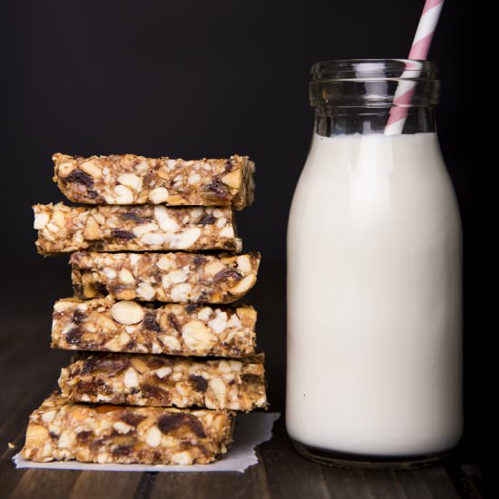 No Bake Nut Bars