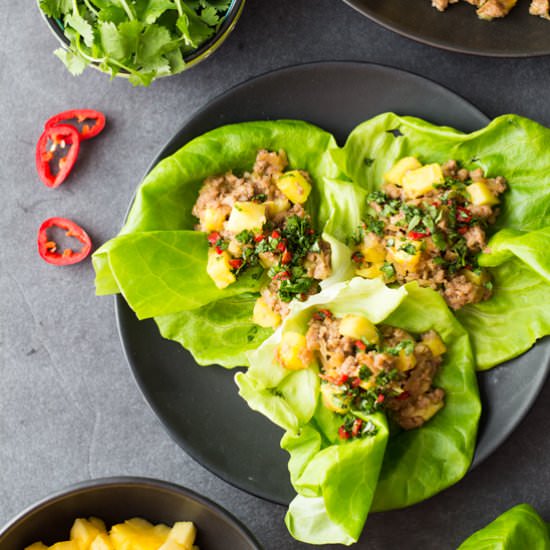 Ground Pork Lettuce Wrap