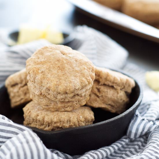 20 Minute Flaky Whole Wheat Biscuit