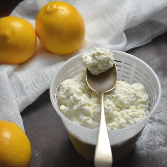 Homemade Fresh Ricotta Cheese