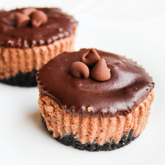 Triple Chocolate Mini Cheesecakes