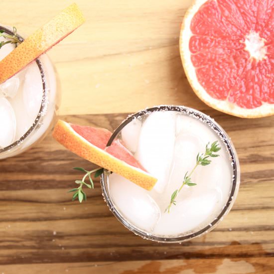 Winter Paloma