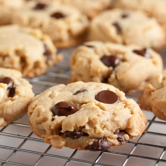 chocolate chip nut butter cookies