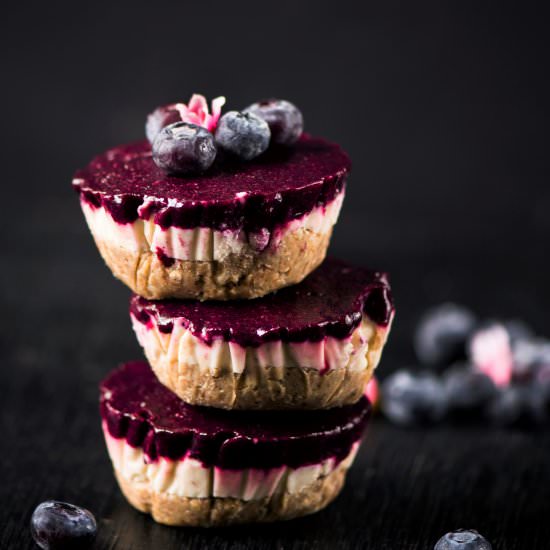 Blueberry Vegan Mini Cheesecake