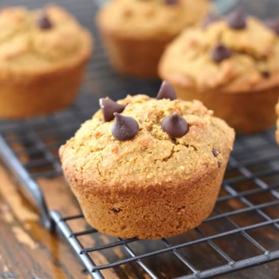 Bakery Style Chocolate Chip Muffins