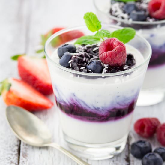 Blueberry Coconut Panna Cotta