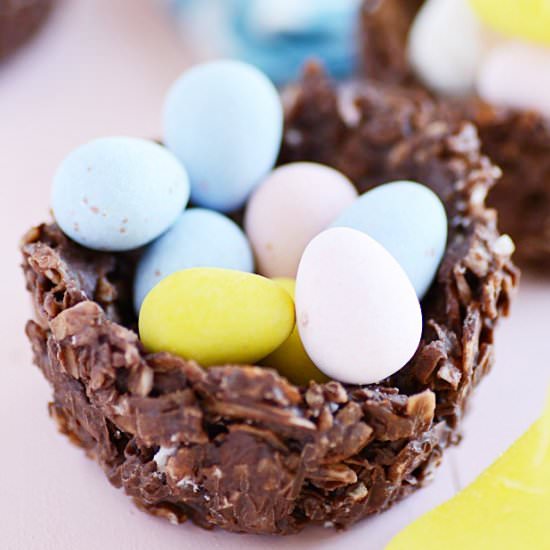 Chocolate Coconut Almond Egg Nests