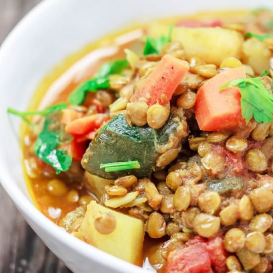 One Pot Veggie Lentil Stew