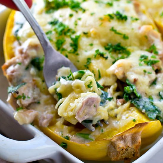 Chicken Alfredo Spaghetti Squash