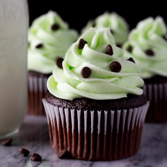 Mint Chocolate Cupcakes