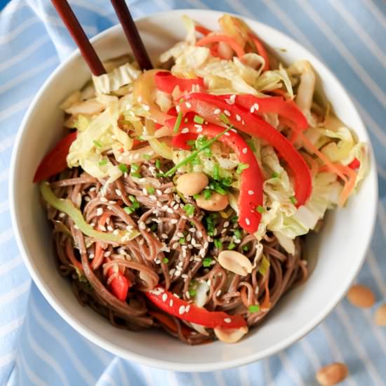 Vegetarian Soba Noodles