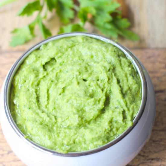 Almond Cilantro Pesto