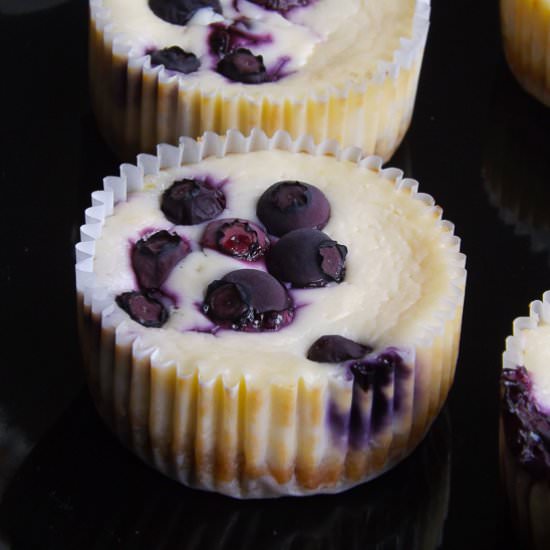 Lemon Blueberry Cheesecake Cupcakes