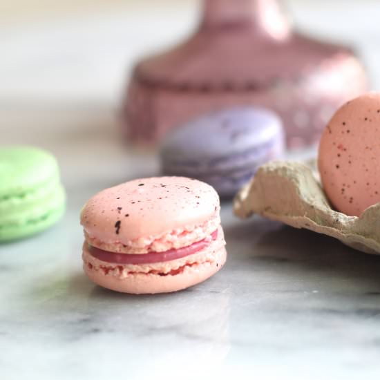 Robin’s Egg Macarons