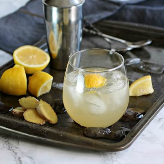 Ginger Bourbon Fizz