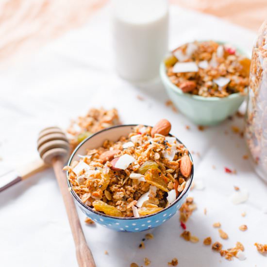 Dried Fruit and Nut Granola