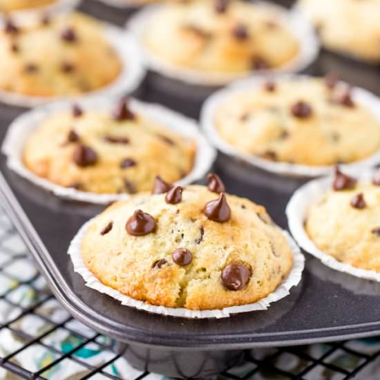 Chocolate Chip Muffins