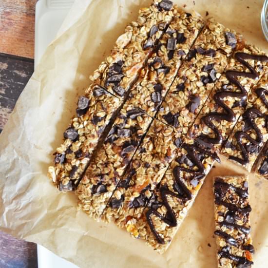 Dark Chocolate Roasted Coconut Bars
