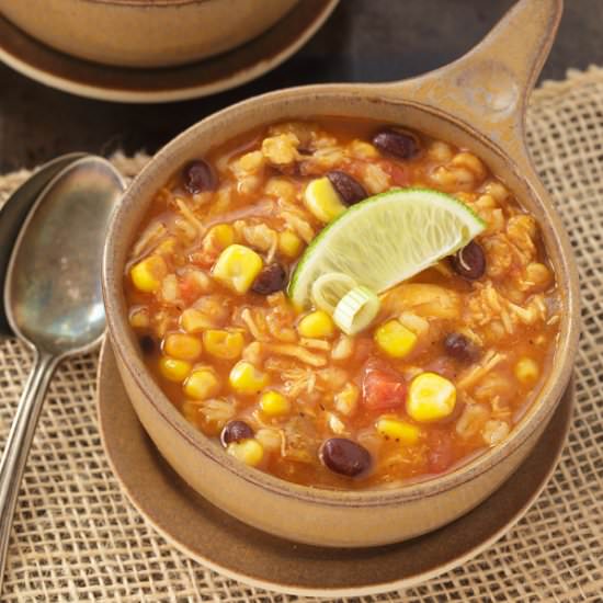 SW Chicken Barley Soup