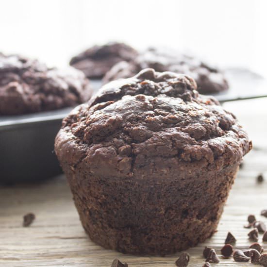 Big Double Chocolate Chip Muffins