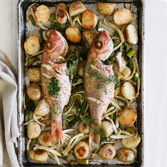 Perfect Easter Snapper