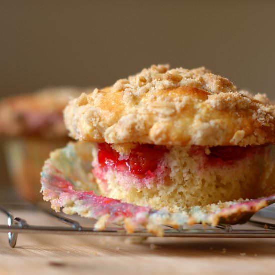 Tart cherry cream cheese muffins