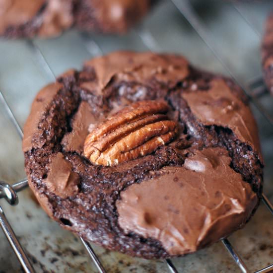 Chewy Brownie Cookies