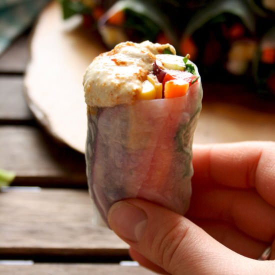 Spring Rolls with Peanut Sauce