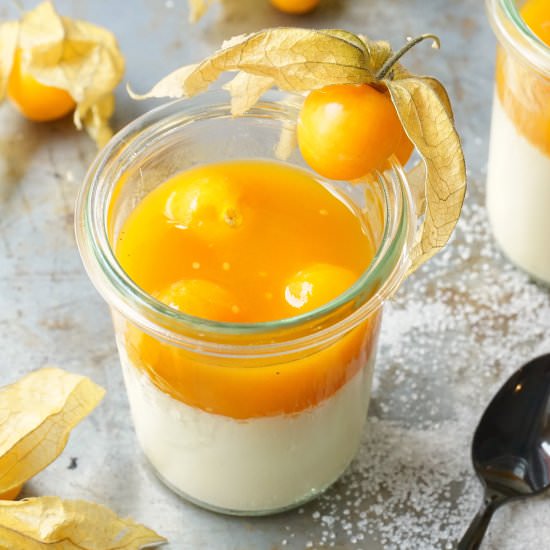 Vegetarian Panna Cotta with Fruit