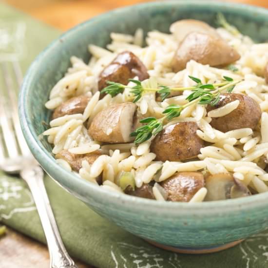 Mushroom Orzo Pasta