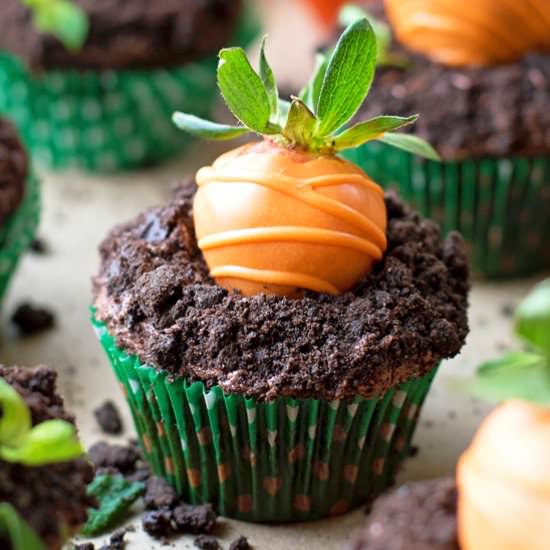 Carrot Patch Cupcakes