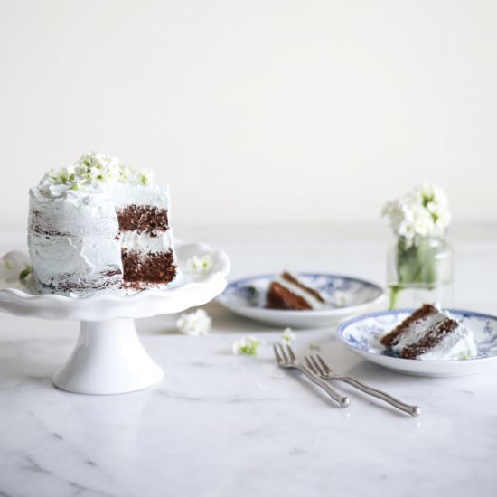 Mint Chocolate Cake