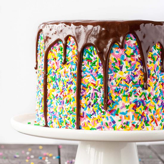 Chocolate Funfetti Cake
