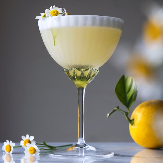 Lemon Chamomile Spring Cocktail