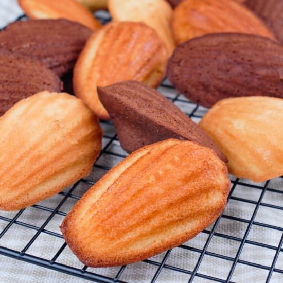 Madeleines