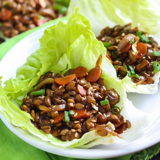 Teriyaki Tempeh Lettuce Wraps