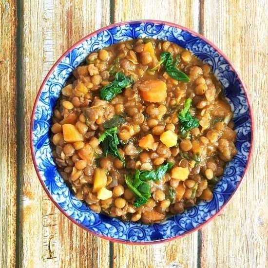 Hearty Brown Lentil Soup