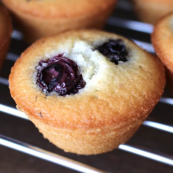 Lemon Blueberry Financiers