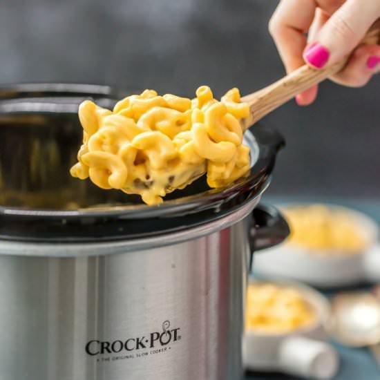 Slow Cooker Macaroni and Cheese