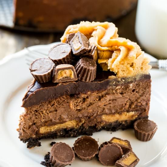 Peanut Butter Cup Cheesecake