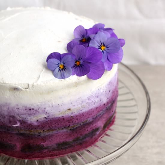 Blueberry Cake