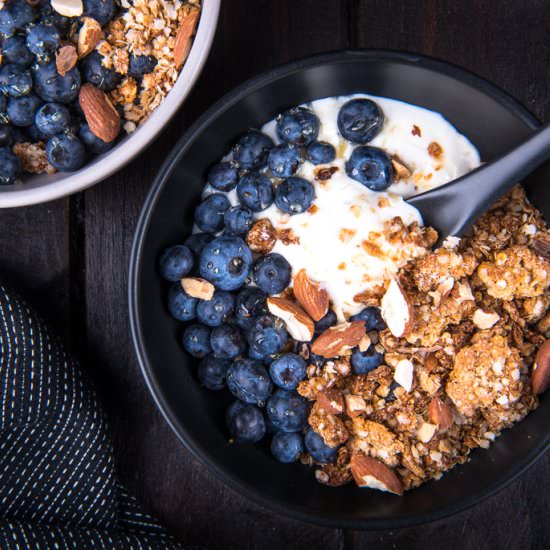 3 Ingredient Grain Free Granola